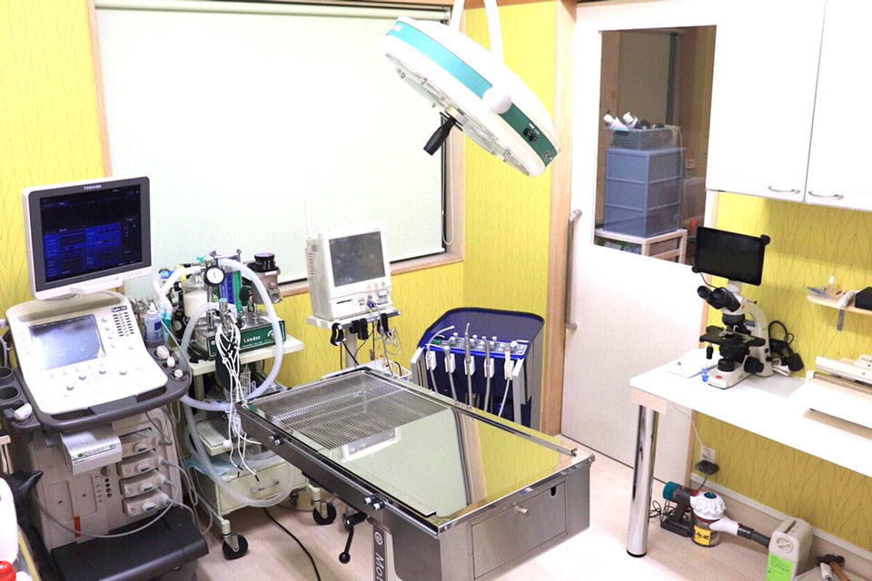 手術準備室/歯科処置室